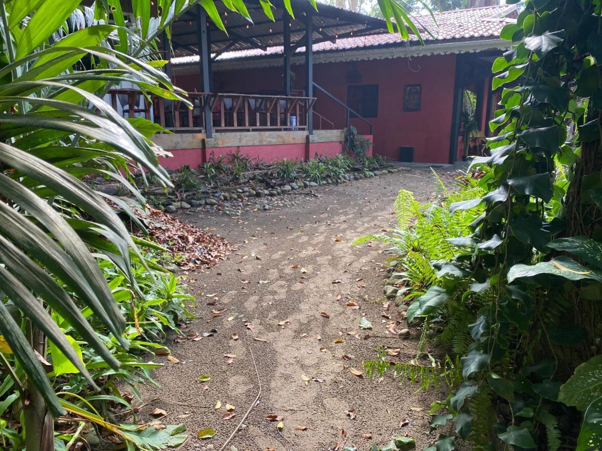 Hotel Casa Vito Beachfront Puerto Viejo de Talamanca Екстериор снимка