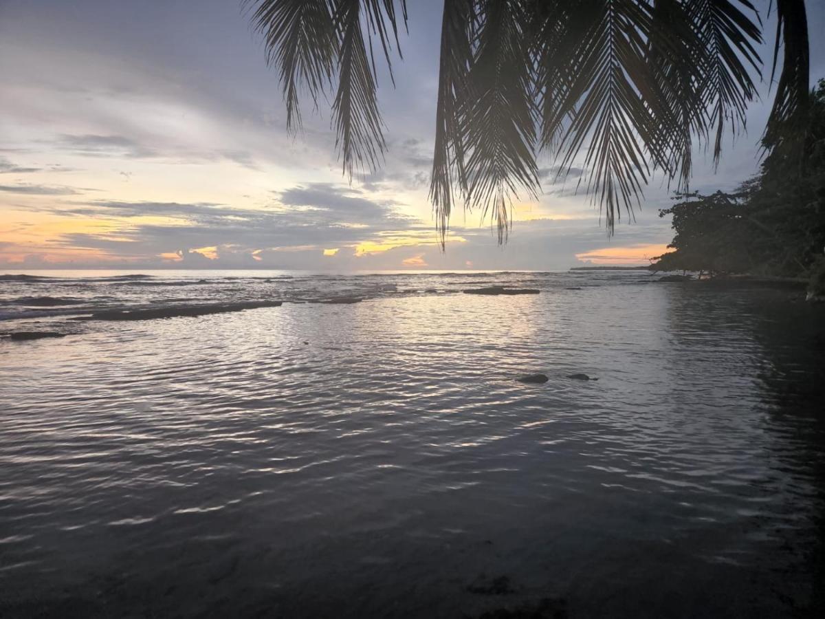 Hotel Casa Vito Beachfront Puerto Viejo de Talamanca Екстериор снимка